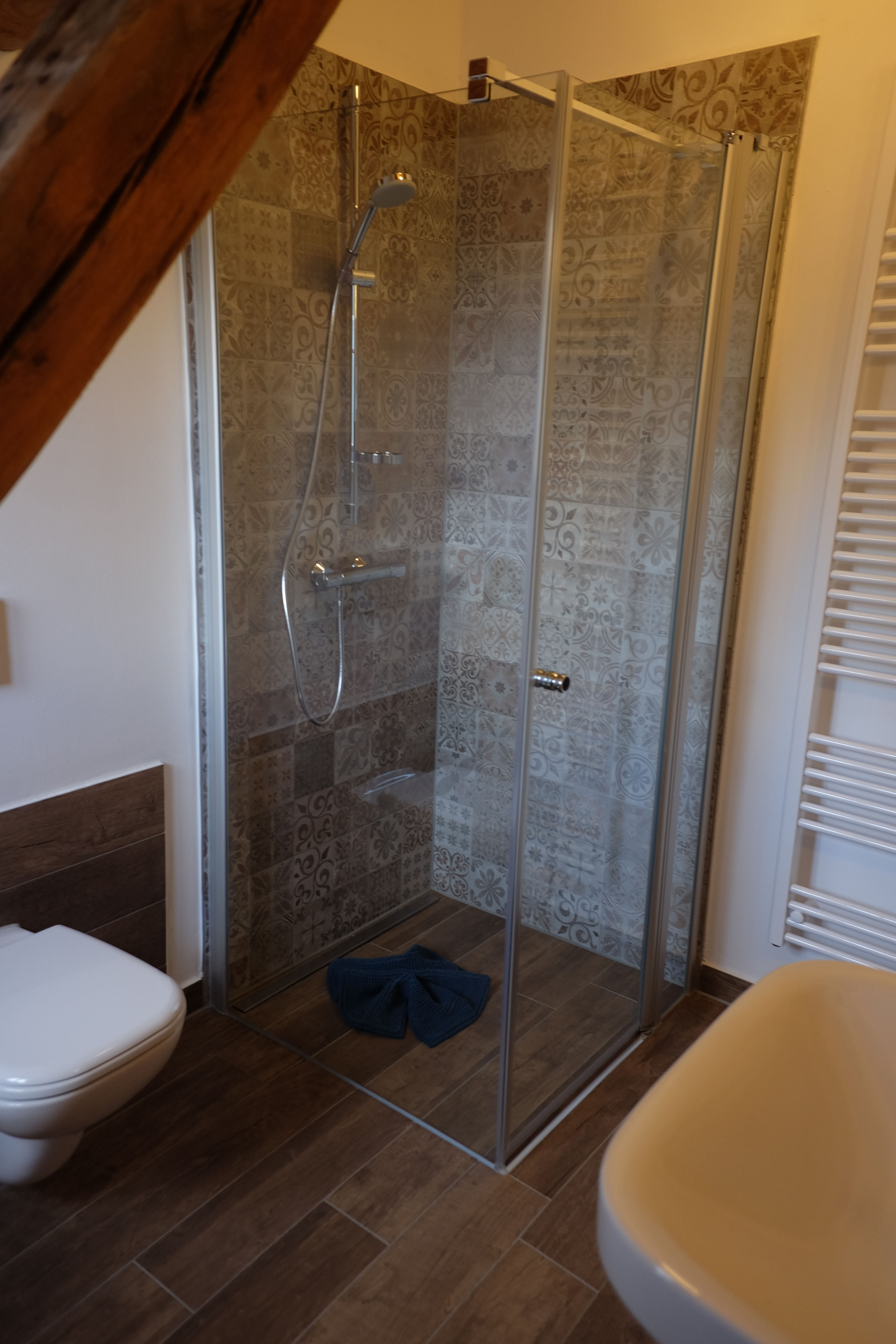 Meisterstube: Walk-in shower